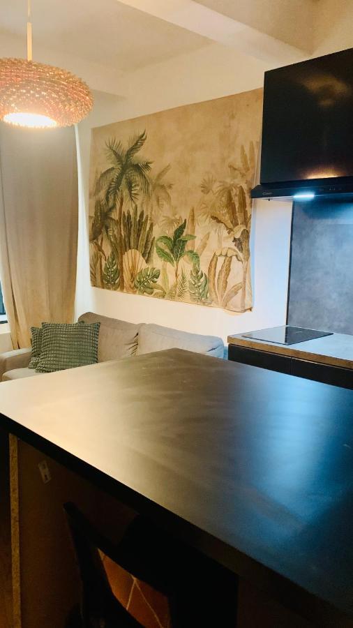 Studios De La Maison Narbonnaise Narbonne Ngoại thất bức ảnh