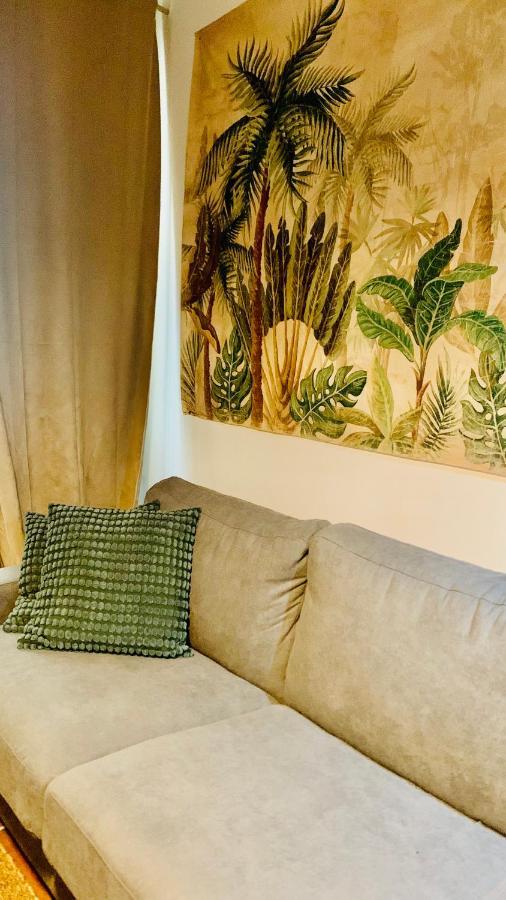 Studios De La Maison Narbonnaise Narbonne Ngoại thất bức ảnh